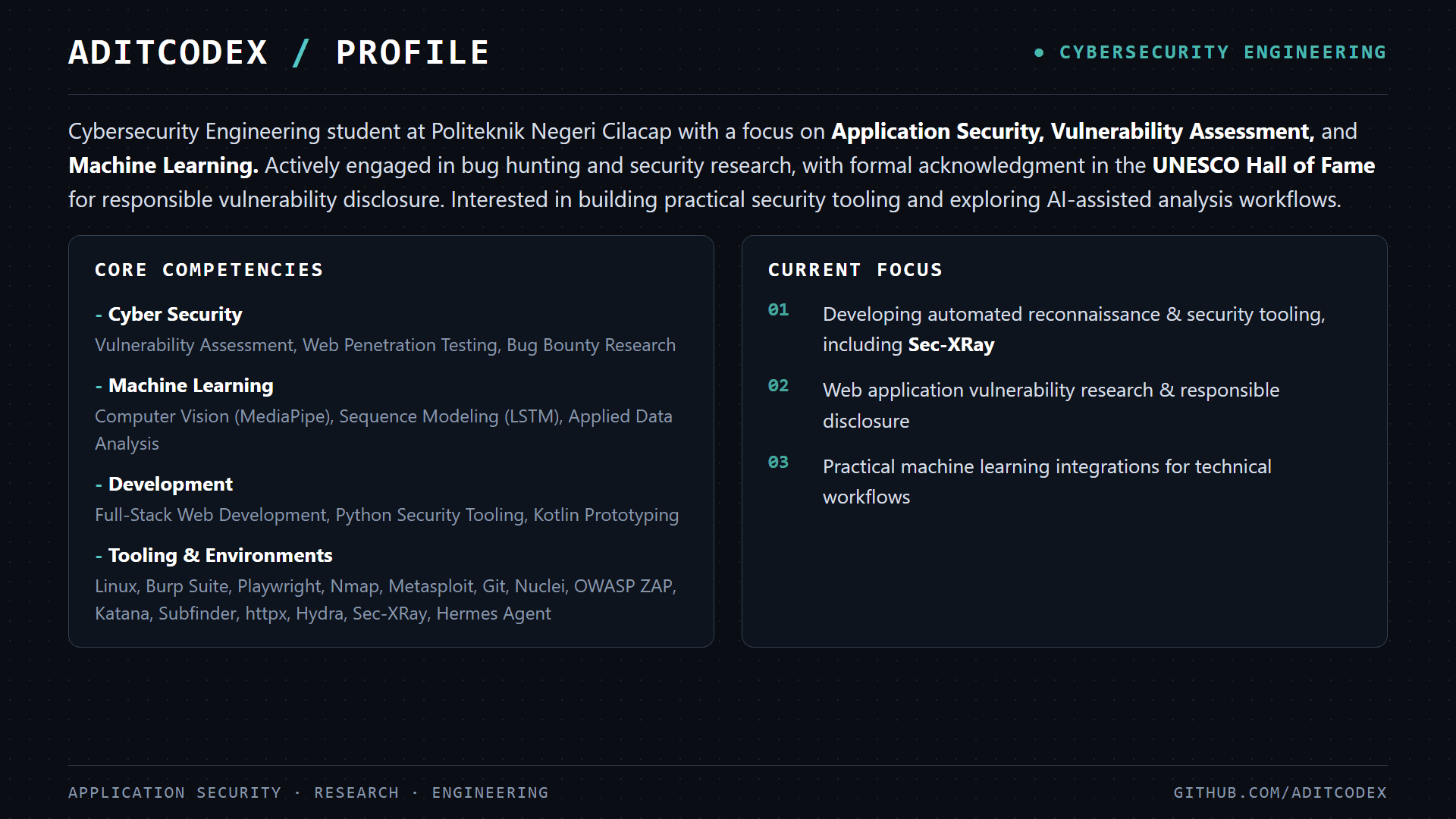 Animated Professional Summary - Aditya Agung Triwibowo